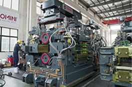 Non-standard processing products